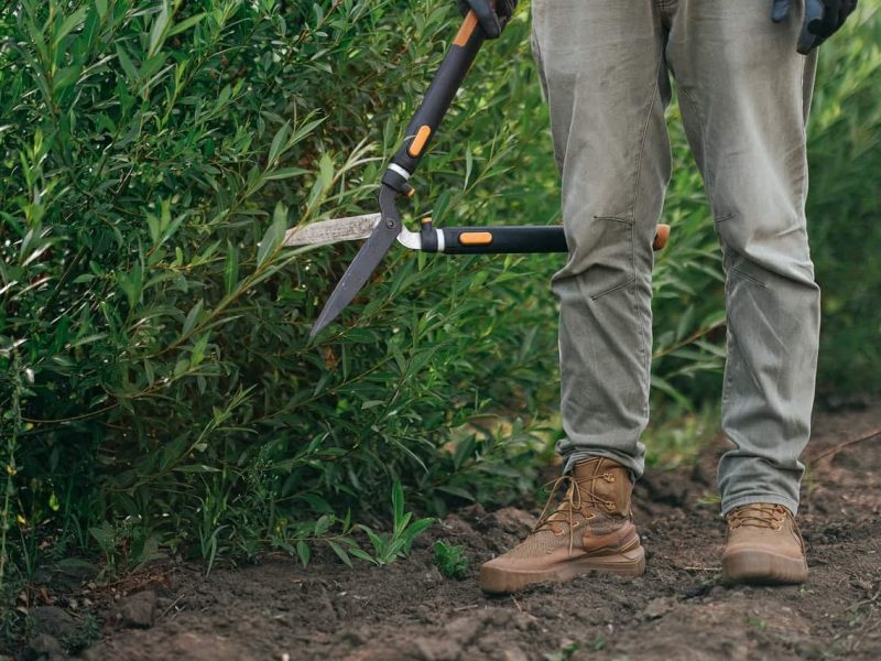 pexels-anna-shvets-5027617 (1)