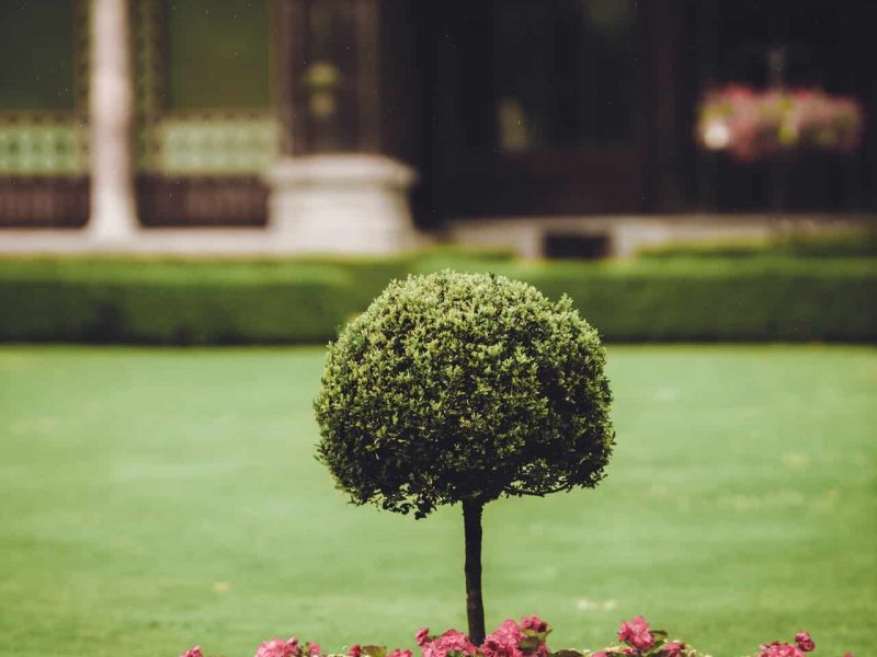 pexels-felix-mittermeier-2832040